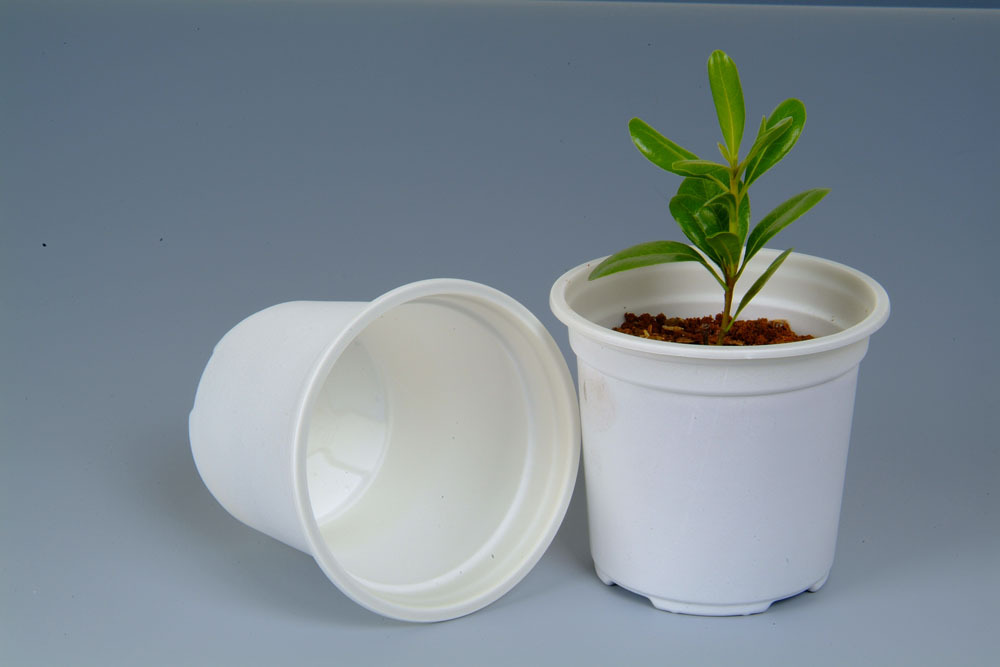 【綠色環(huán)保 生物降解 淀粉基塑料 可制作紙巾盒】價格,廠家,圖片,其他通用/工程塑料,江蘇錦禾高新科技股份有限公司銷售部