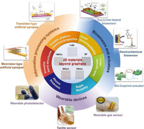 清華大學劉鍇 白凈衛(wèi)afm綜述 面向生物電子學的非石墨烯二維材料 從基礎(chǔ)性質(zhì)到器件應用