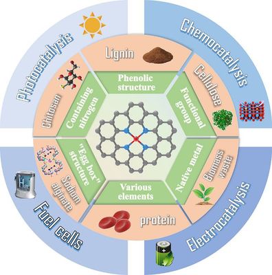 天津科技大學(xué)司傳領(lǐng)、王冠華等Adv. Colloid Interfac.綜述: 生物質(zhì)衍生碳基單原子催化劑的制備及應(yīng)用