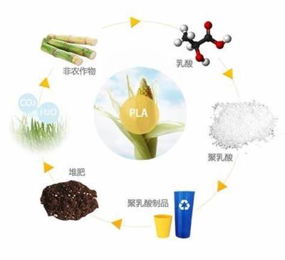 關于生物可降解塑料的誤解,你中了幾個?