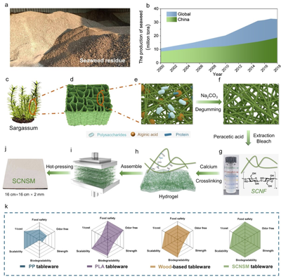 中科大俞書宏院士團隊AM:可食用、超強、熱穩定好的海藻基結構材料,可生物降解餐具新選擇!