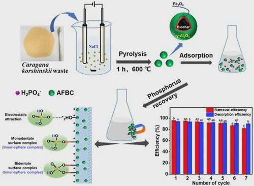 生態(tài)環(huán)境治理新型材料研發(fā)取得系列進(jìn)展 生物基材料銷售迎突破