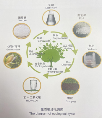 冬奧會(huì)餐盤 酸奶“親戚”引領(lǐng)生物基材料新風(fēng)尚