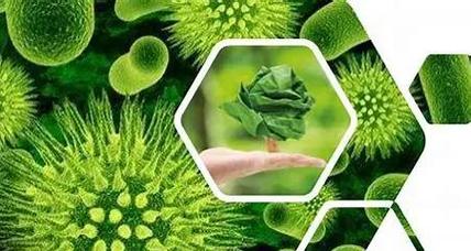 生物質(zhì)材料 綠色未來(lái)的基石——生物化工產(chǎn)品技術(shù)研發(fā)