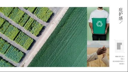 “森”生不息 圖森2023年度家居流行色趨勢概念發布與生物基材料的環保新篇